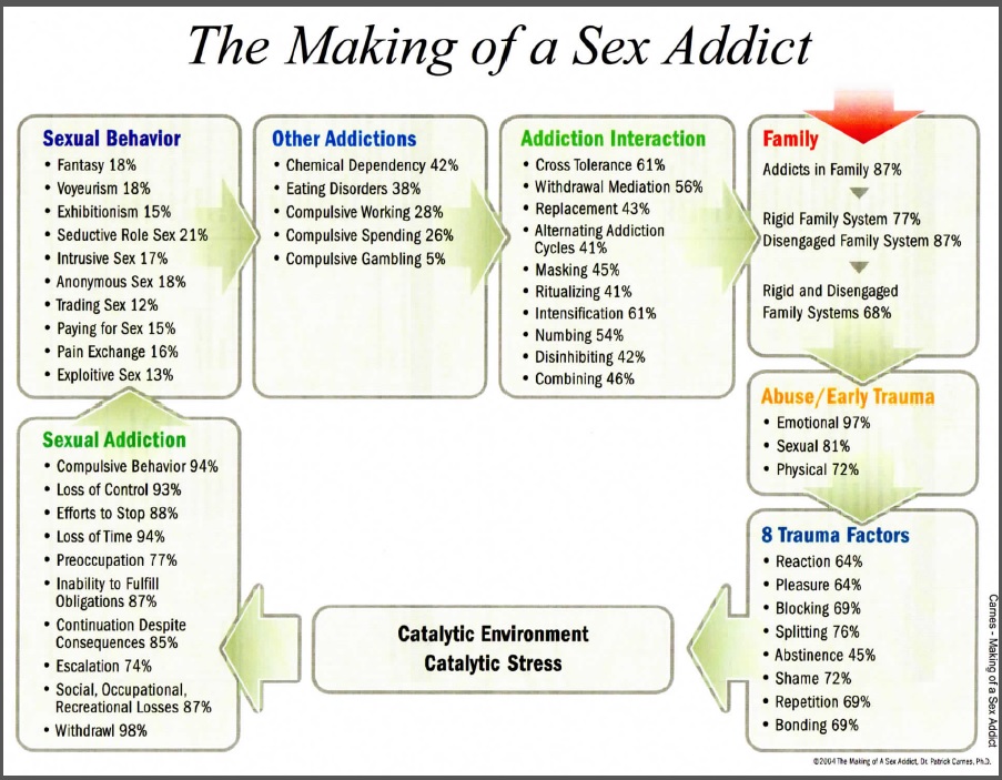 A sex addict a sex affair